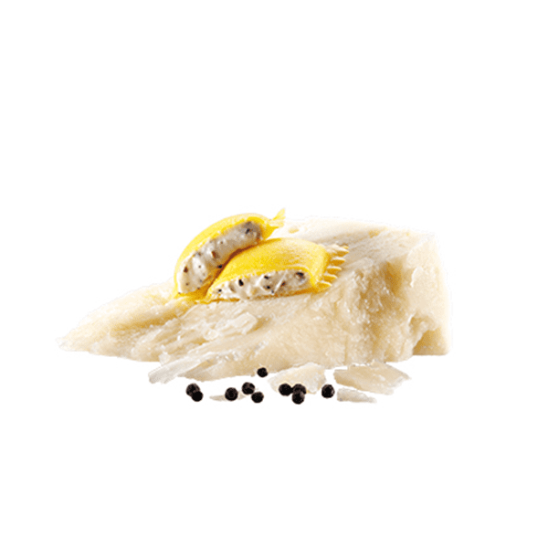 SCRIGNI CACIO E PEPE 2 Kg