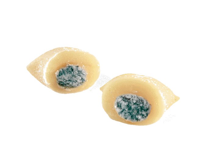 GNOCCHI RIPIENI AL GORGONZOLA 1 Kg